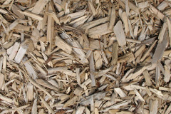 biomass boilers Whiteleas